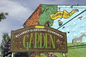killarney glengarry community garden